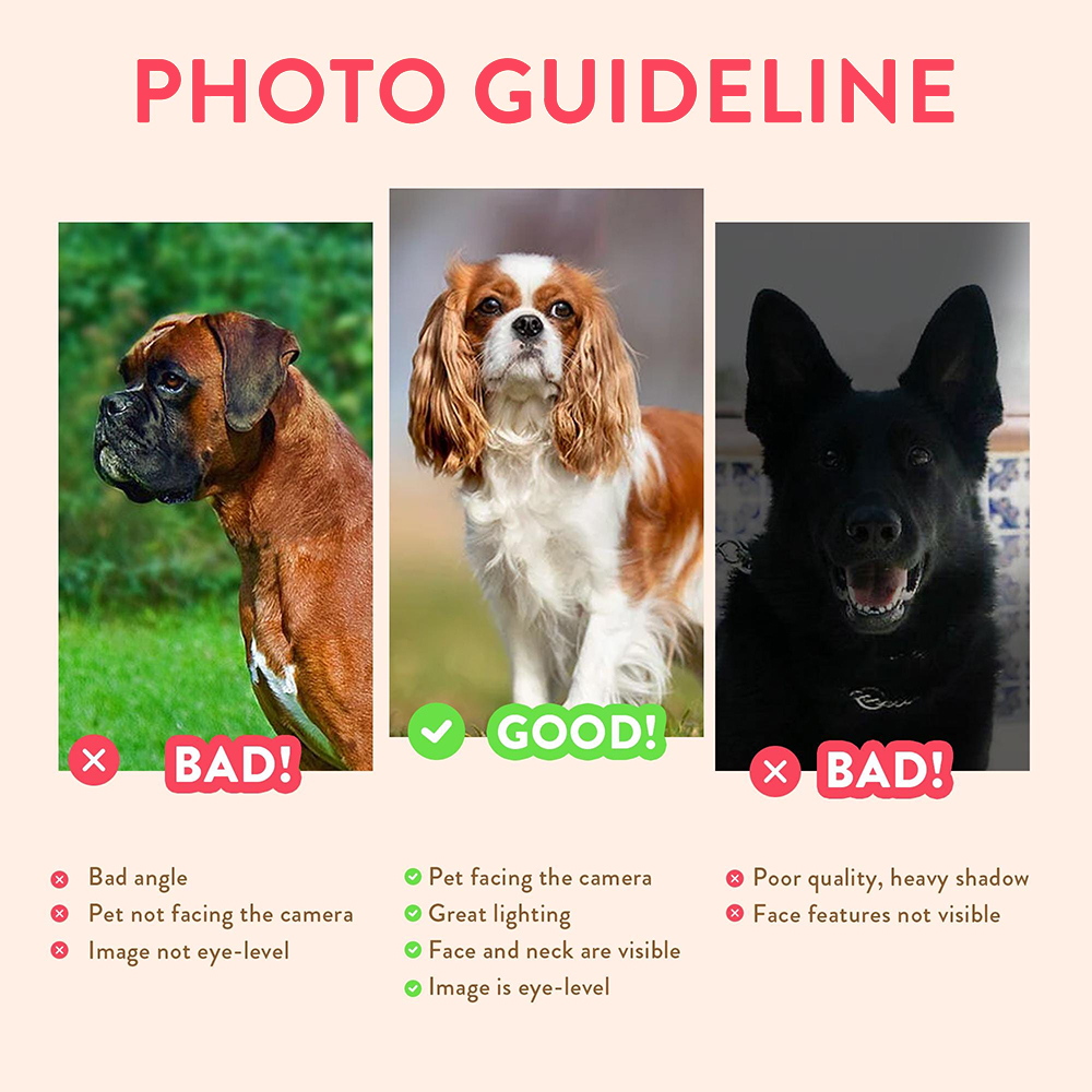 Portraits personnalisés d'anim - Pet Portrait Custom avis et prix