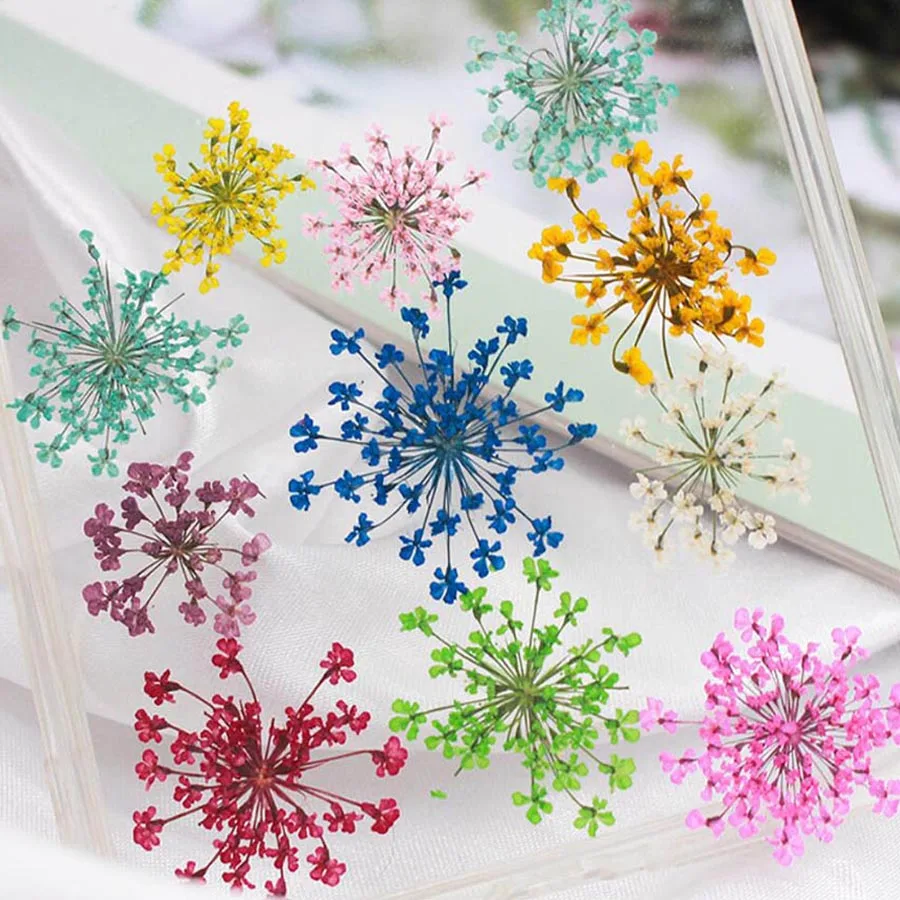 60 pièces pressées séchées 20- - Dried Flower Bookmark avis et prix